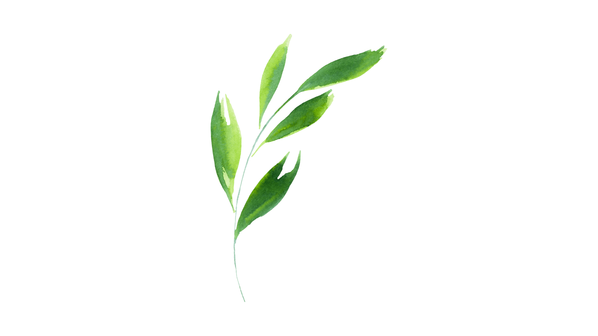 Eco conduite